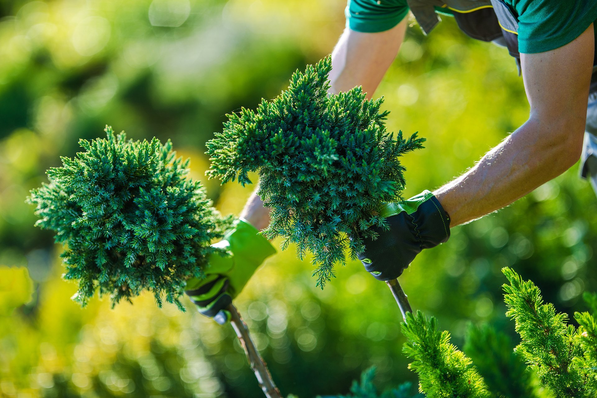 Gardening Constructor.